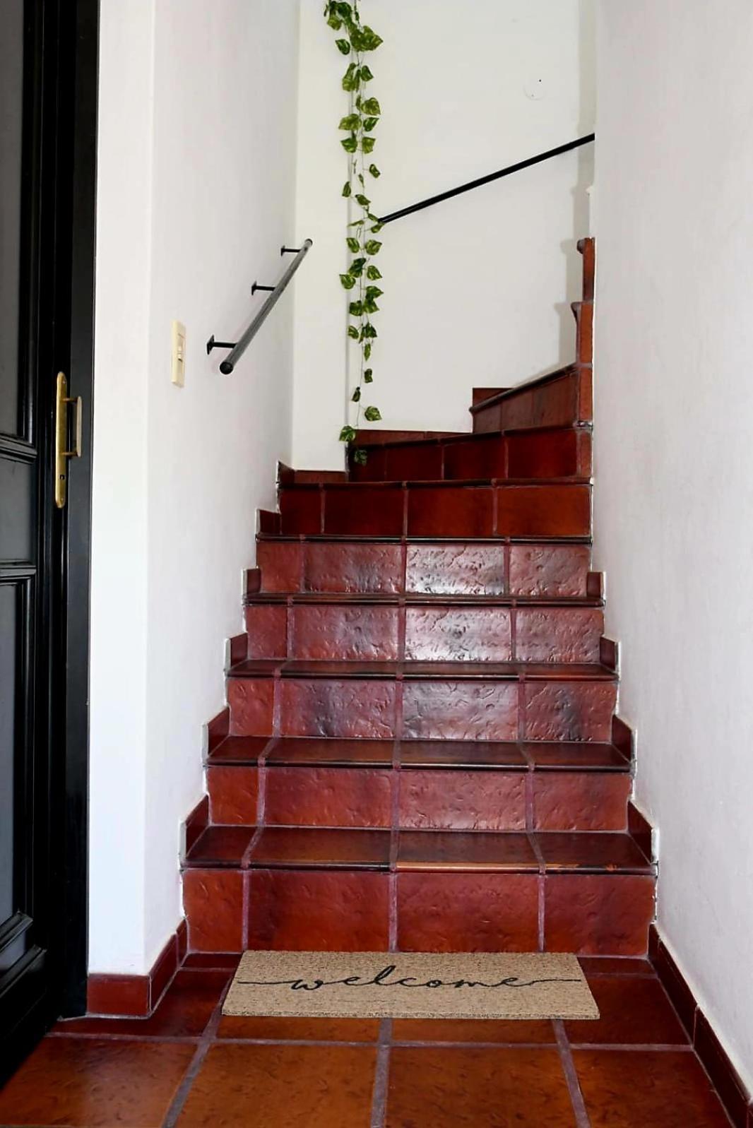 Camelias Apartment